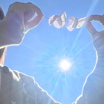 [摄影] 心中桃阳