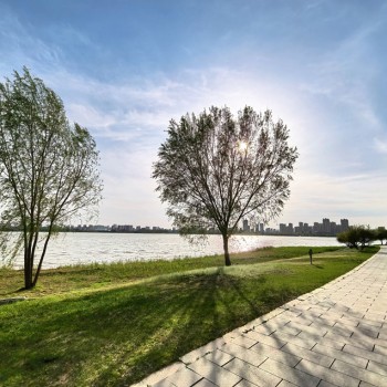 [摄影] 日照玉树